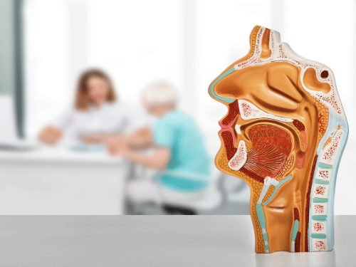 Best ENT Specialists in Ahmedabad, Gujarat: Your Guide